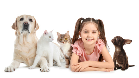 Image of Cute little girl with her pets on white background. Banner design