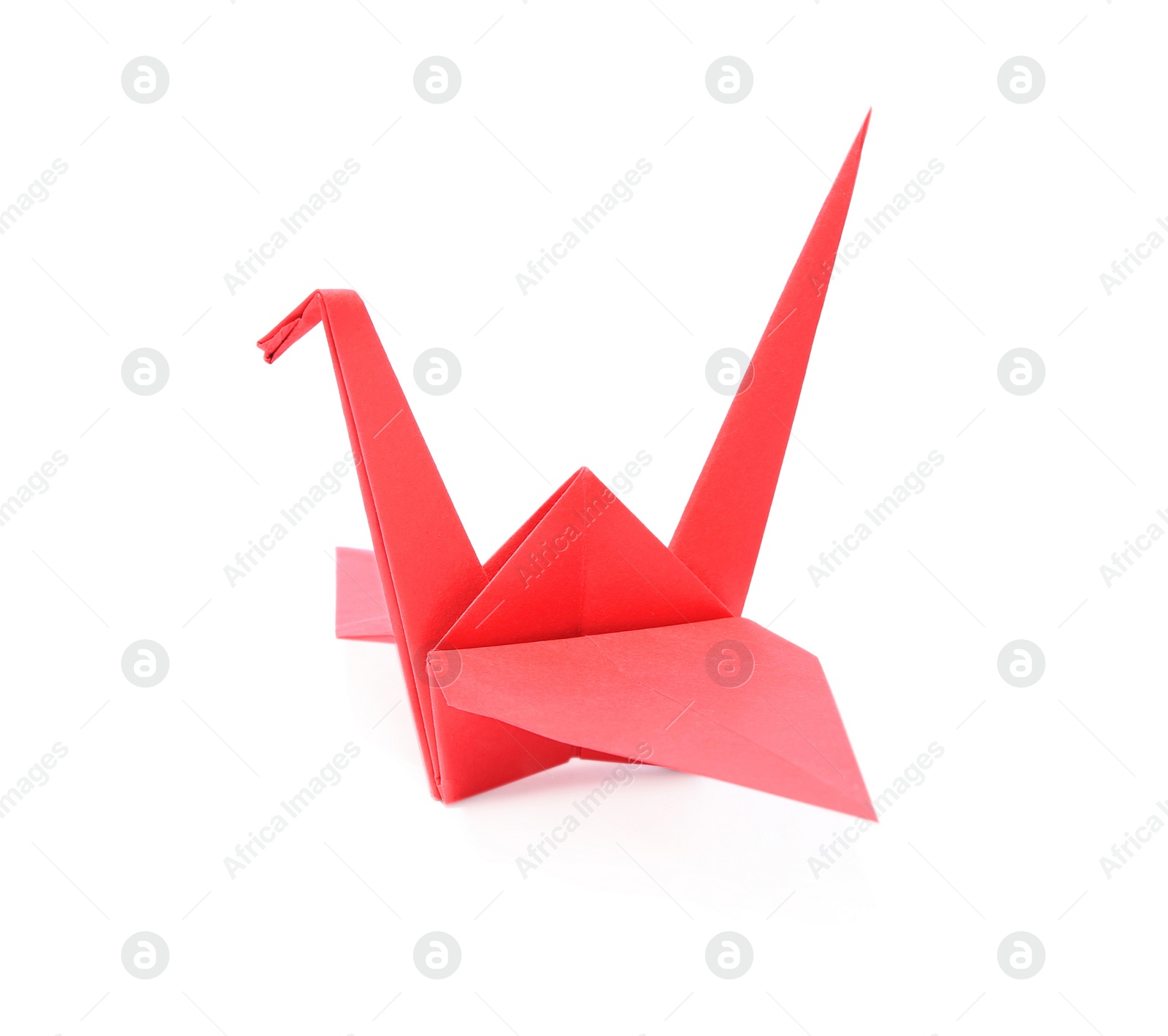 Photo of Origami art. Beautiful red paper crane isolated on white