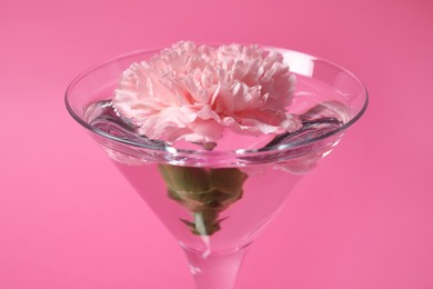 Martini glass with water and beautiful carnation flower on pink background, closeup