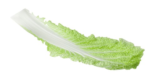 Photo of One fresh Chinese cabbage leaf isolated on white