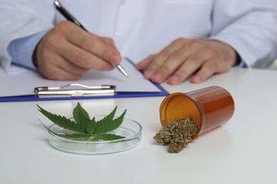 Photo of Doctor working at table with medical hemp and fresh leaf, closeup