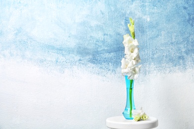 Photo of Vase with beautiful gladiolus flowers on table against color background