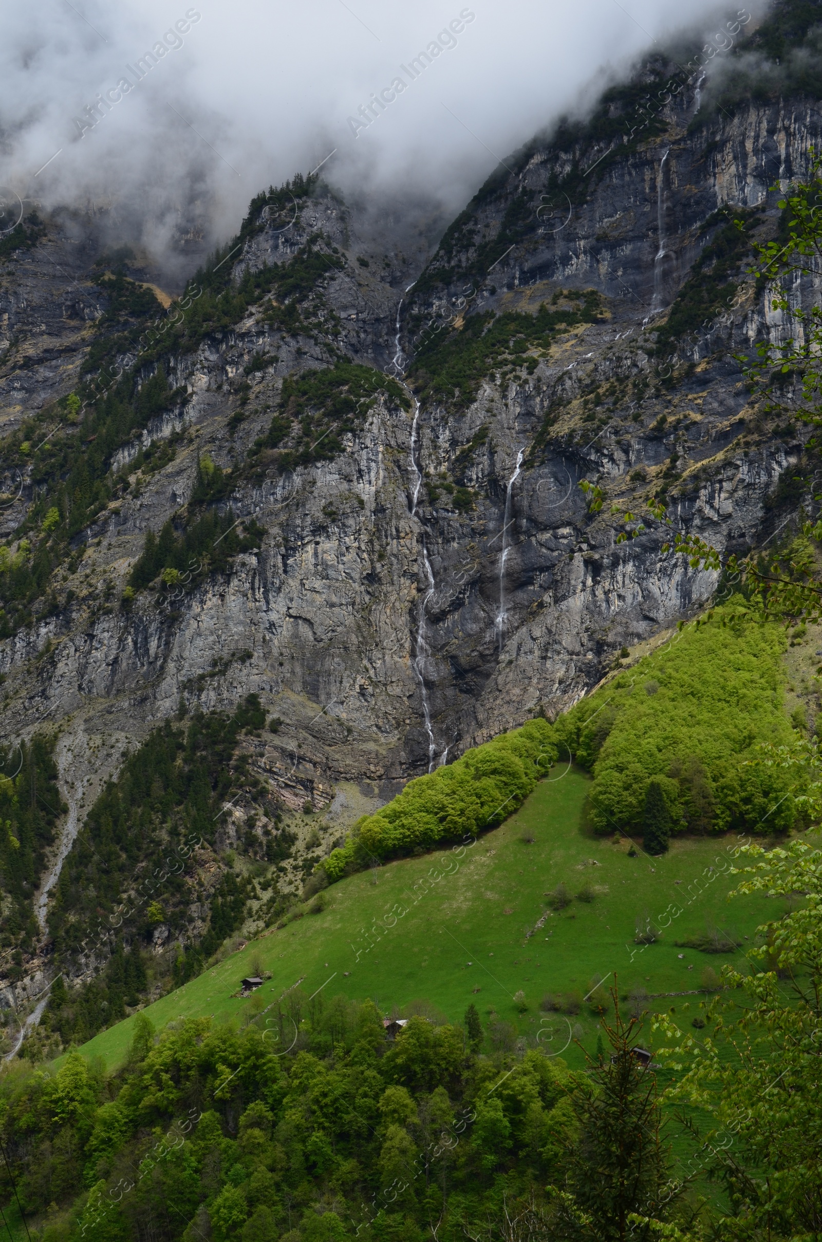 Photo of View of mountains covered by fog and green trees