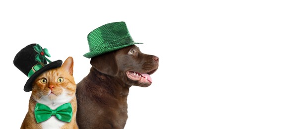 St. Patrick's day celebration. Cute dog and cat in leprechaun hats on white background. Banner design with space for text