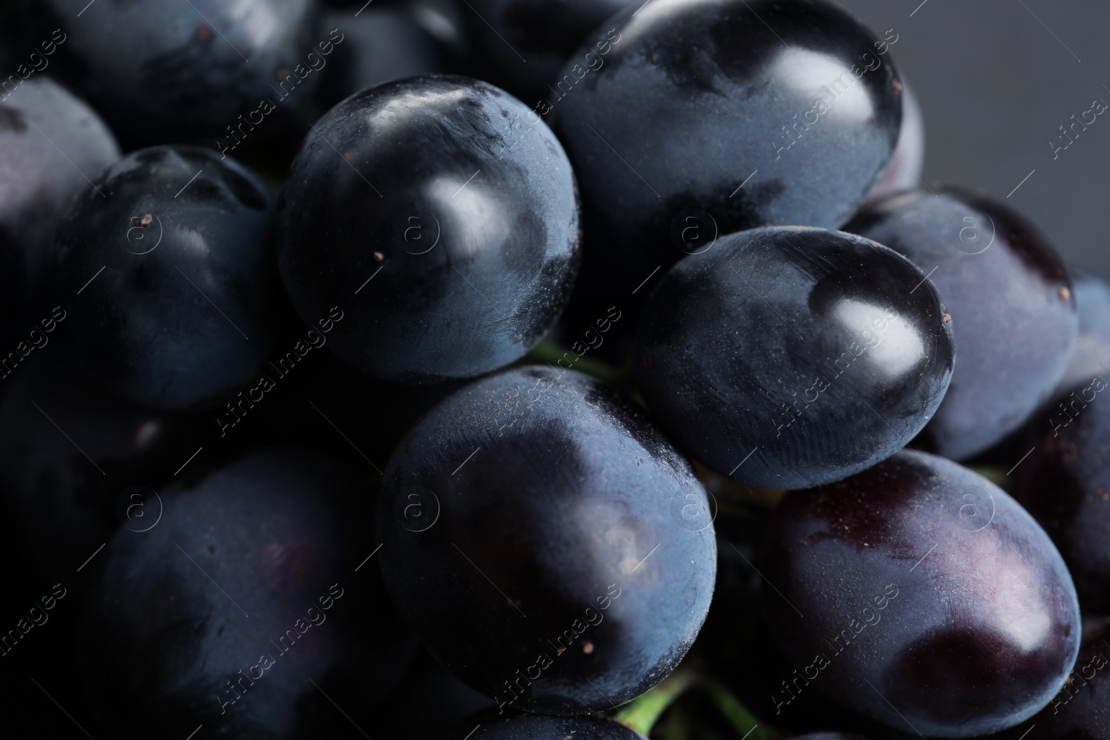 Photo of Bunch of fresh ripe juicy grapes as background. Closeup view