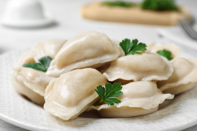 Tasty dumplings served with parsley on plate, closeup