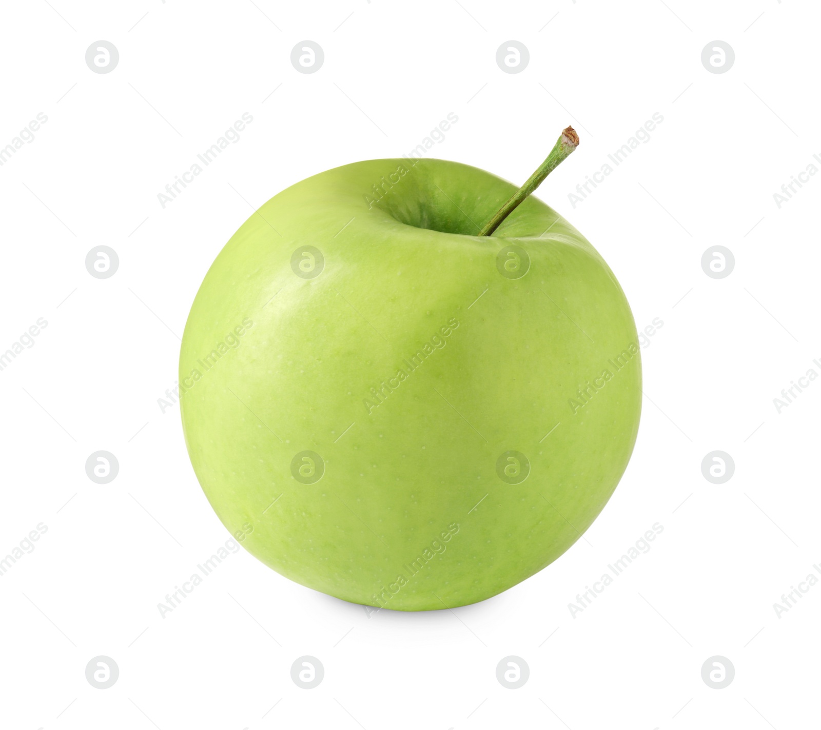 Photo of One ripe green apple isolated on white