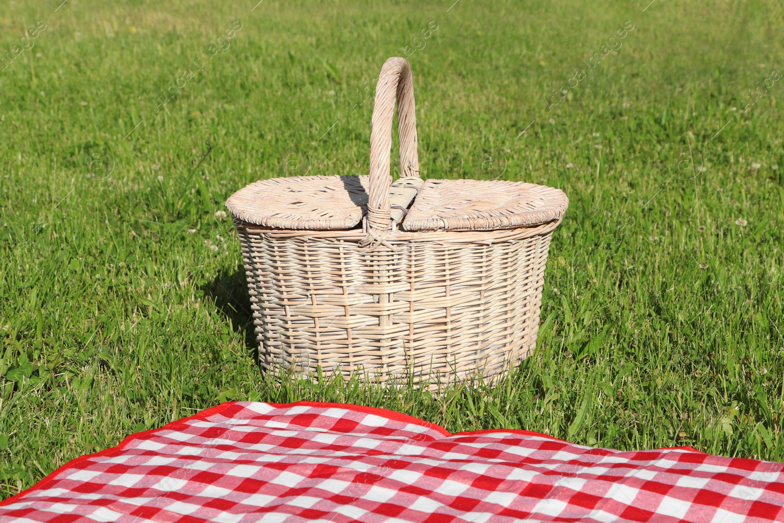 Photo of Picnic basket and checkered tablecloth on green grass outdoors