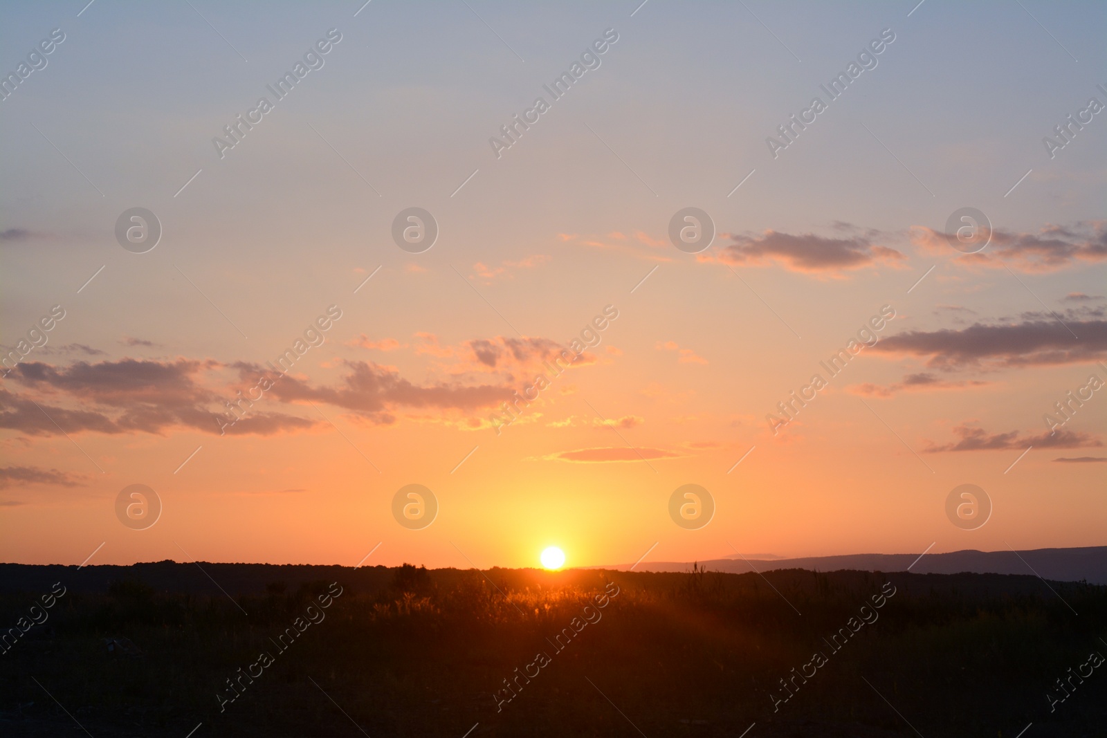 Photo of Picturesque view of beautiful field at sunset