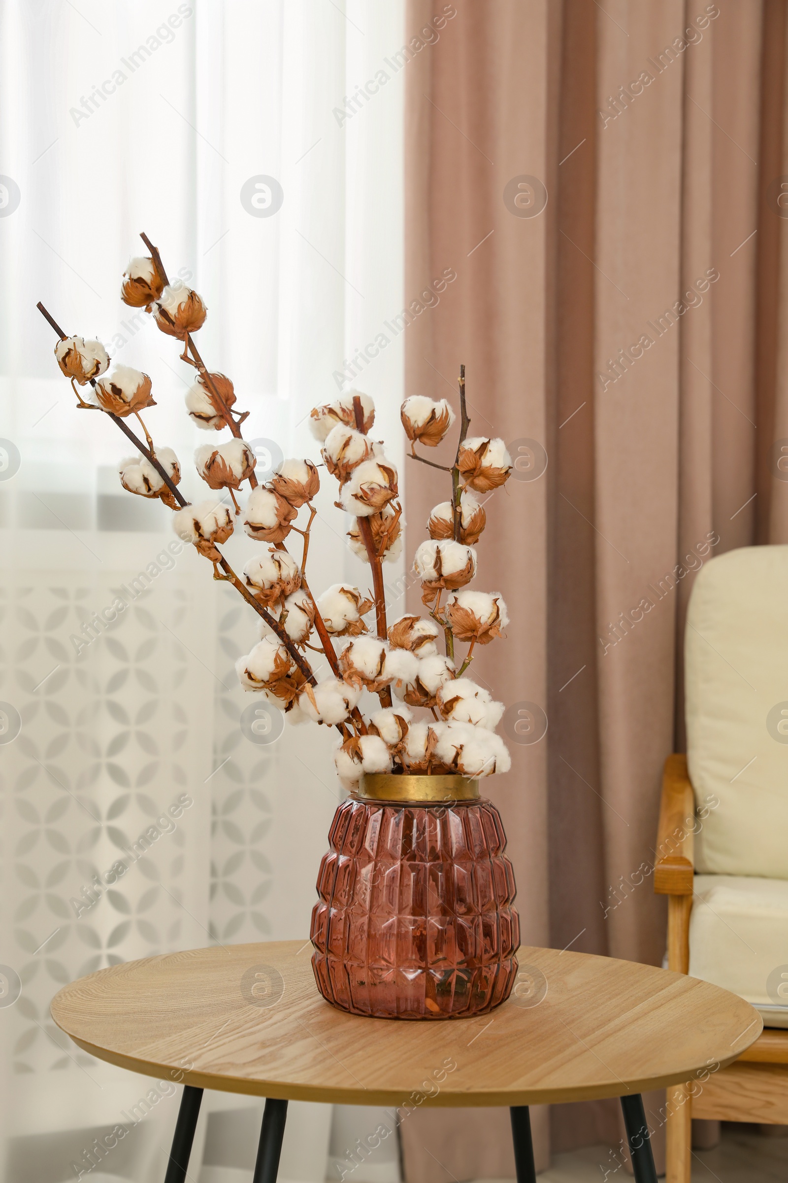 Photo of Vase with cotton flowers on wooden table and pastel window curtain in living room