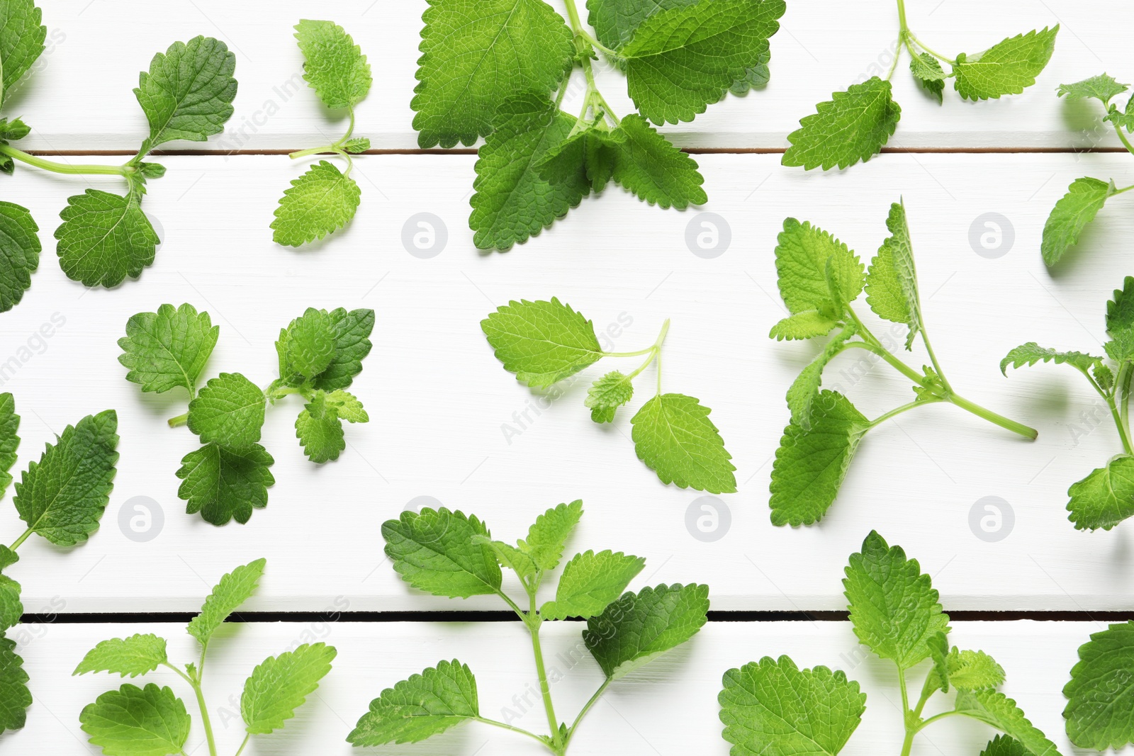 Photo of Fresh lemon balm leaves on white wooden table, flat lay