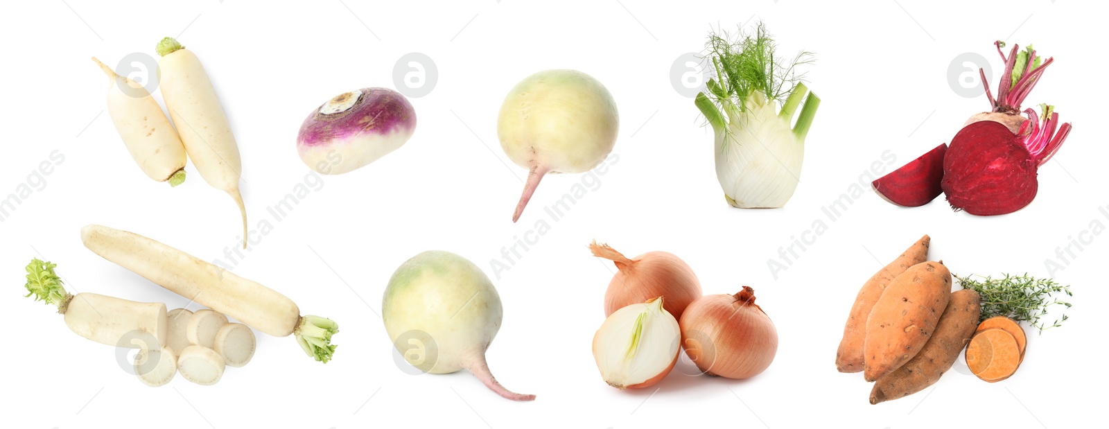 Image of Collage with different root vegetables on white background