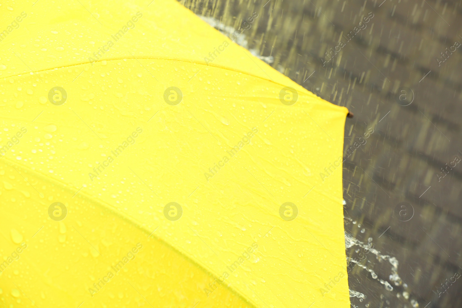 Photo of Bright color umbrella under rain outdoors, closeup