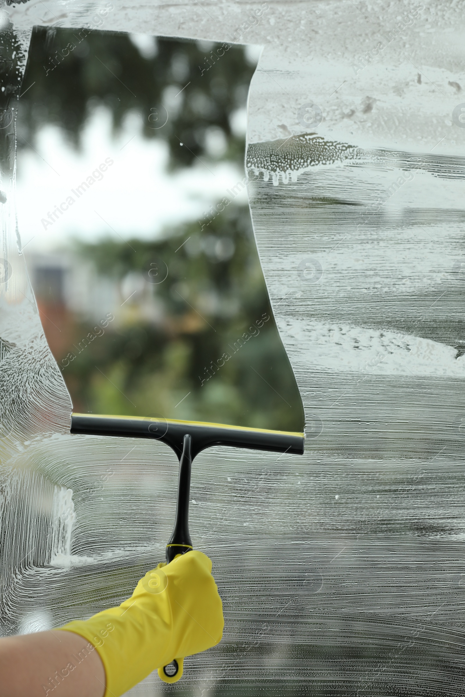 Photo of Woman cleaning glass with squeegee indoors, closeup