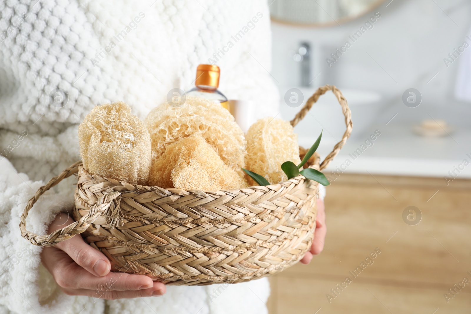 Photo of Woman holding wicker basket with natural loofah sponges in bathroom, closeup