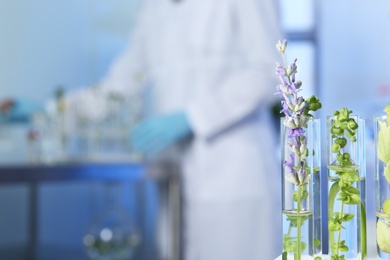 Photo of Test tubes with different plants in laboratory, closeup. Space for text