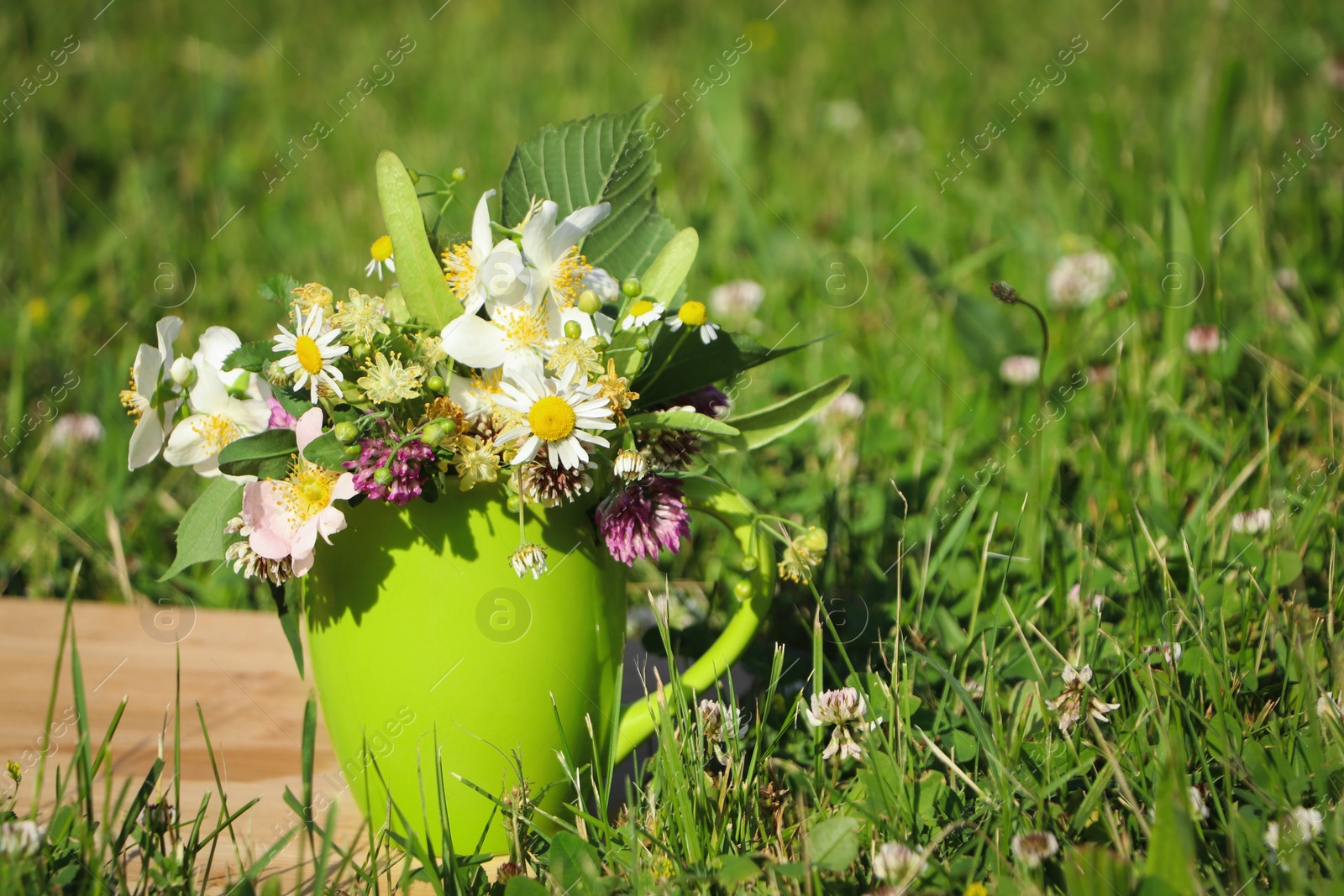 Photo of Green cup with different wildflowers and herbs on wooden board in meadow. Space for text