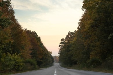 Photo of Beautiful view of asphalt road and autumn forest