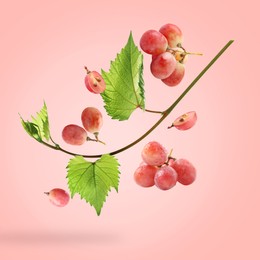 Image of Fresh grapes and vine in air on coral color background