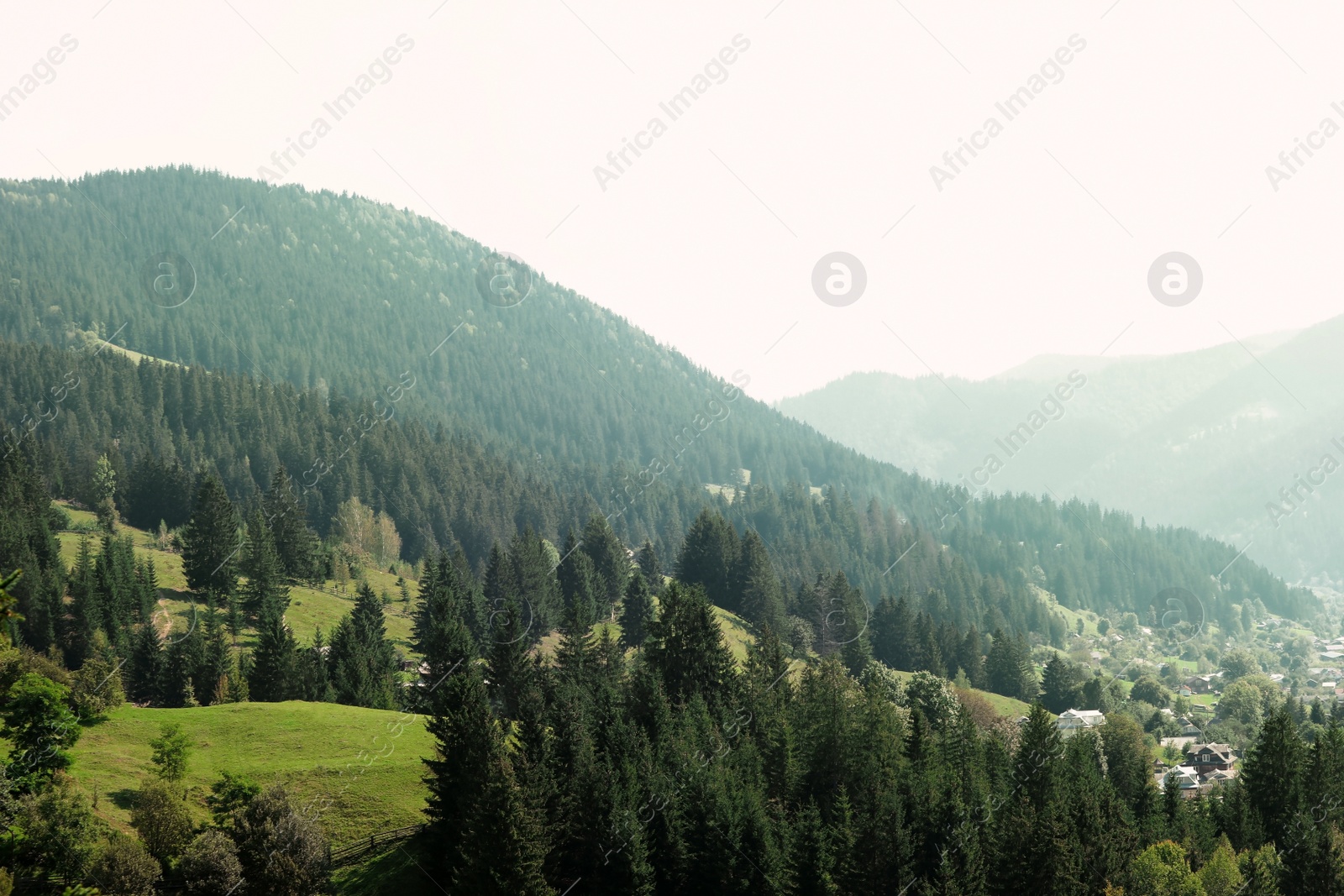 Photo of Picturesque landscape with forest and village in mountains