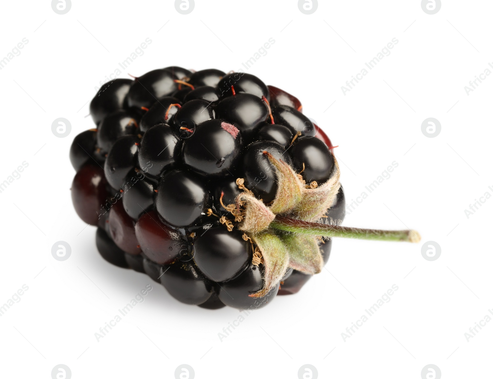 Photo of One tasty ripe blackberry isolated on white