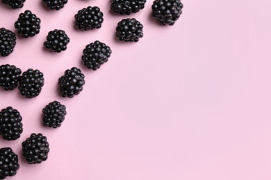 Photo of Tasty ripe blackberries on light pink background, flat lay. Space for text