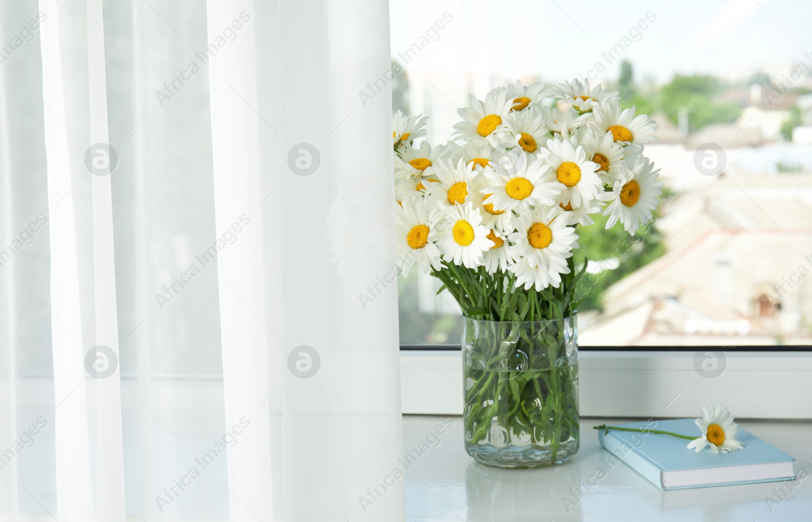 Photo of Vase with beautiful chamomile flowers on windowsill