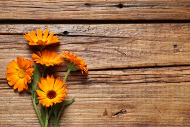 Beautiful fresh calendula flowers on wooden table, flat lay. Space for text