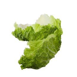 Photo of Leaves of Chinese cabbage on white background