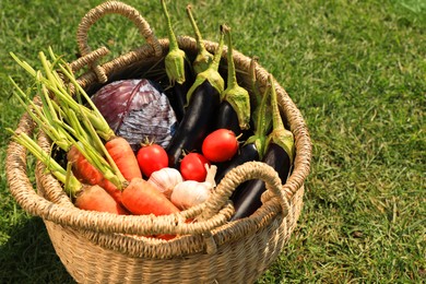 Photo of Different tasty vegetables in wicker basket on green grass outdoors, closeup