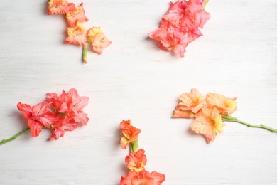 Photo of Flat lay composition with beautiful gladiolus flowers on wooden background