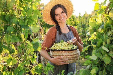 Photo of Young woman harvesting fresh green beans in garden