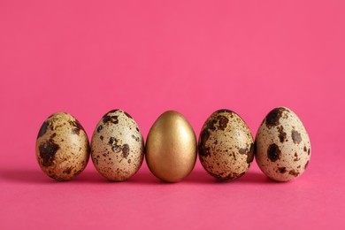Golden and ordinary quail eggs on pink background