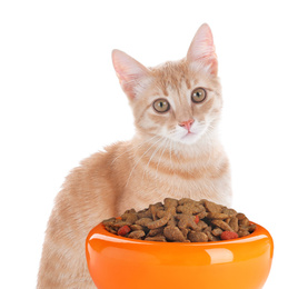 Image of Cute yellow tabby cat and feeding bowl with dry food on white background. Lovely pet