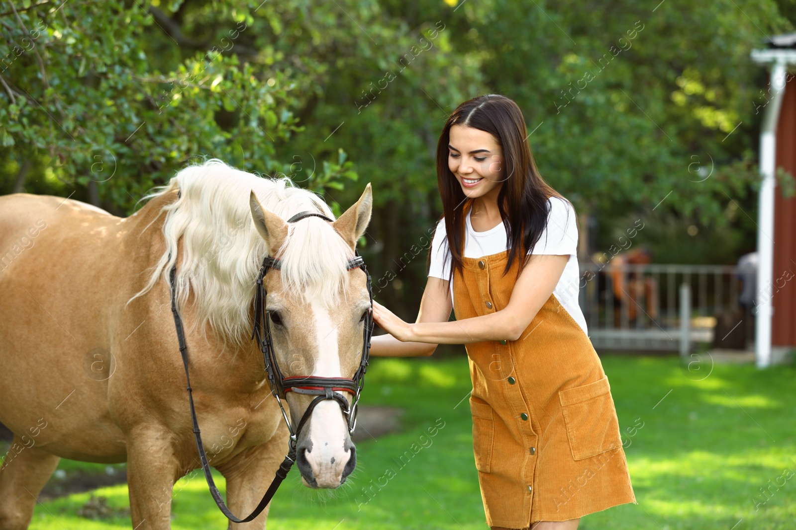 Photo of Palomino horse in bridle and young woman outdoors