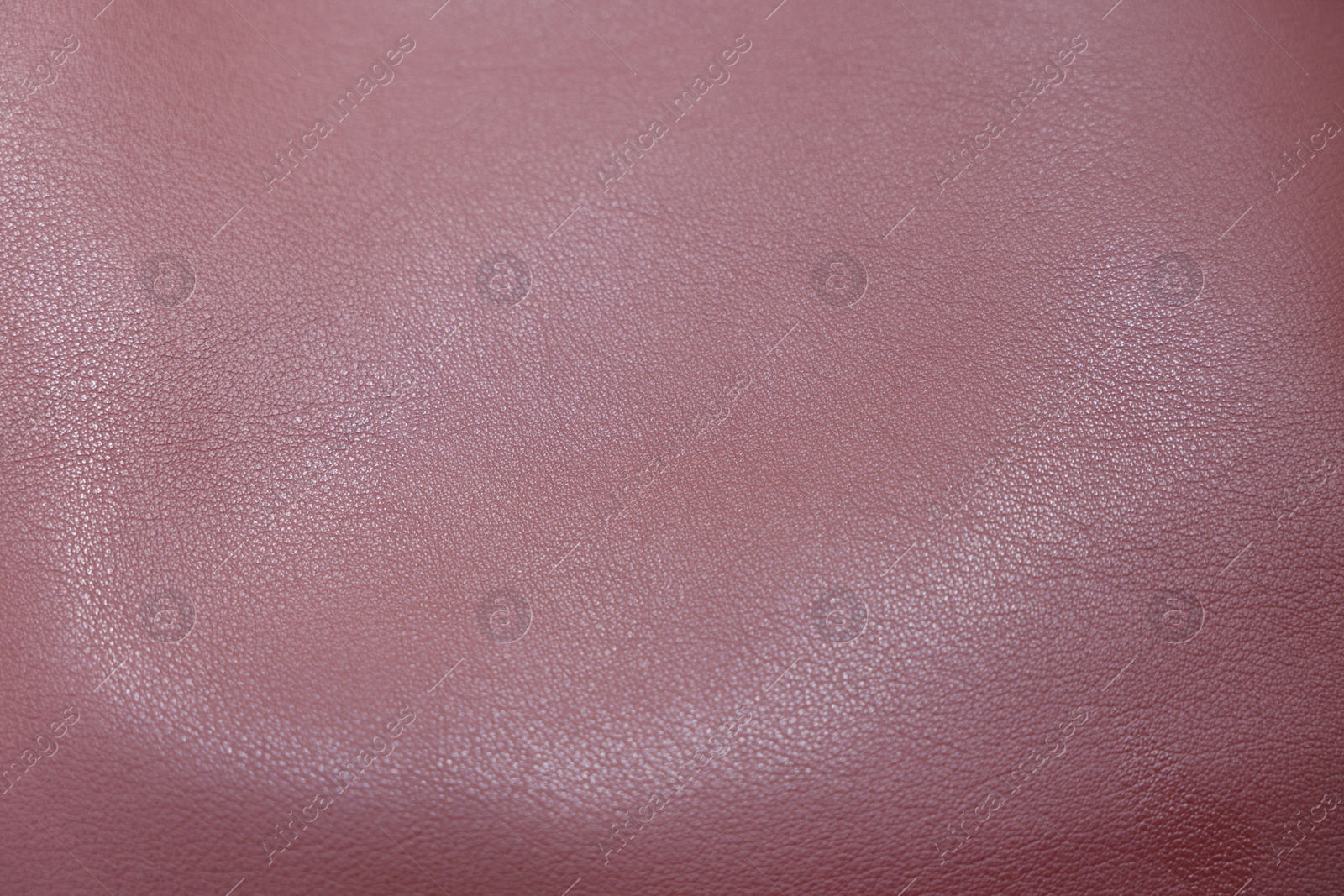 Photo of Texture of leather as background, closeup view