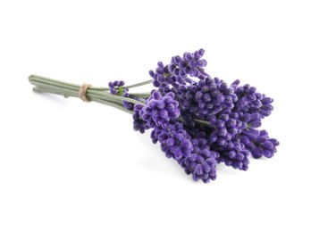Bunch of aromatic lavender flowers on white background
