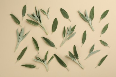 Fresh green sage leaves on beige background, flat lay