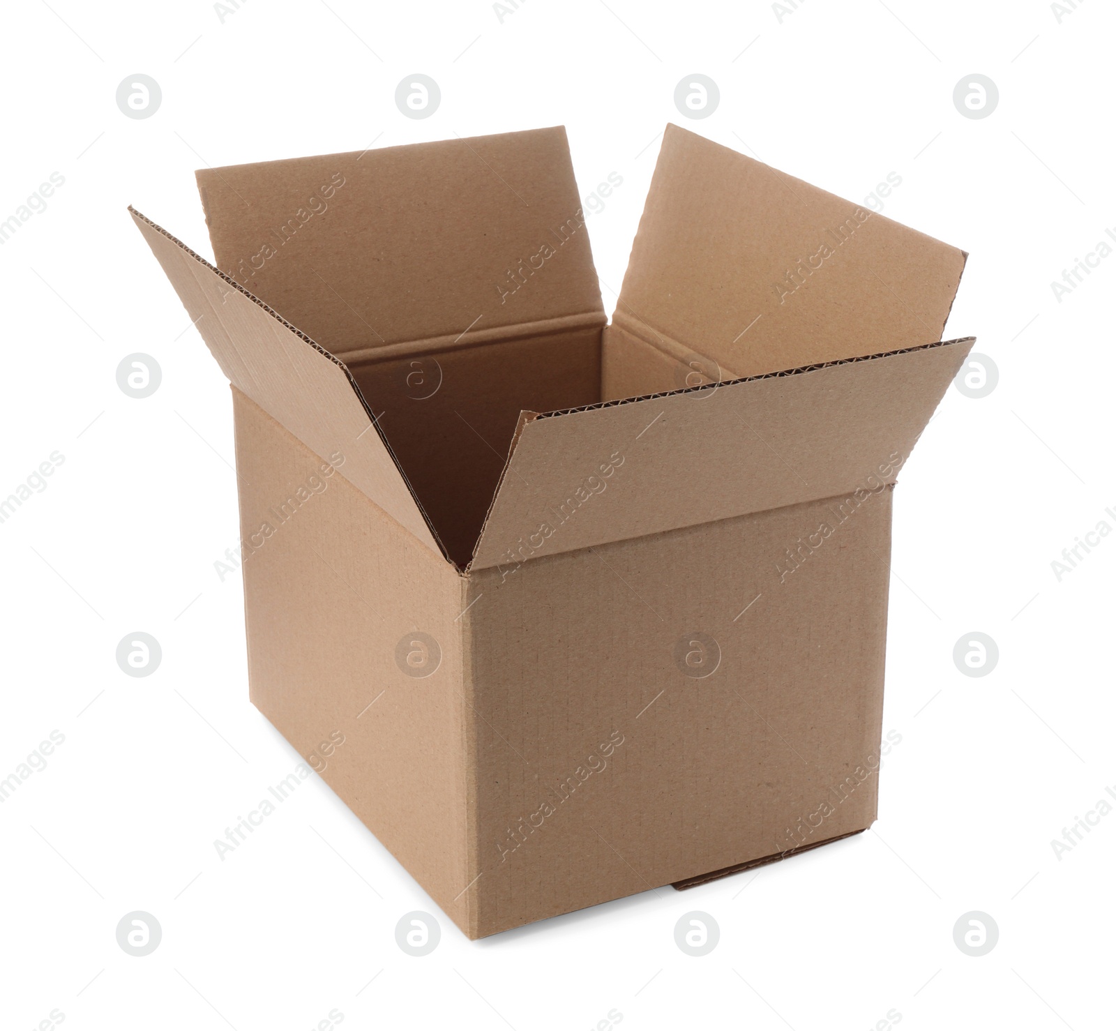 Photo of One open cardboard box on white background