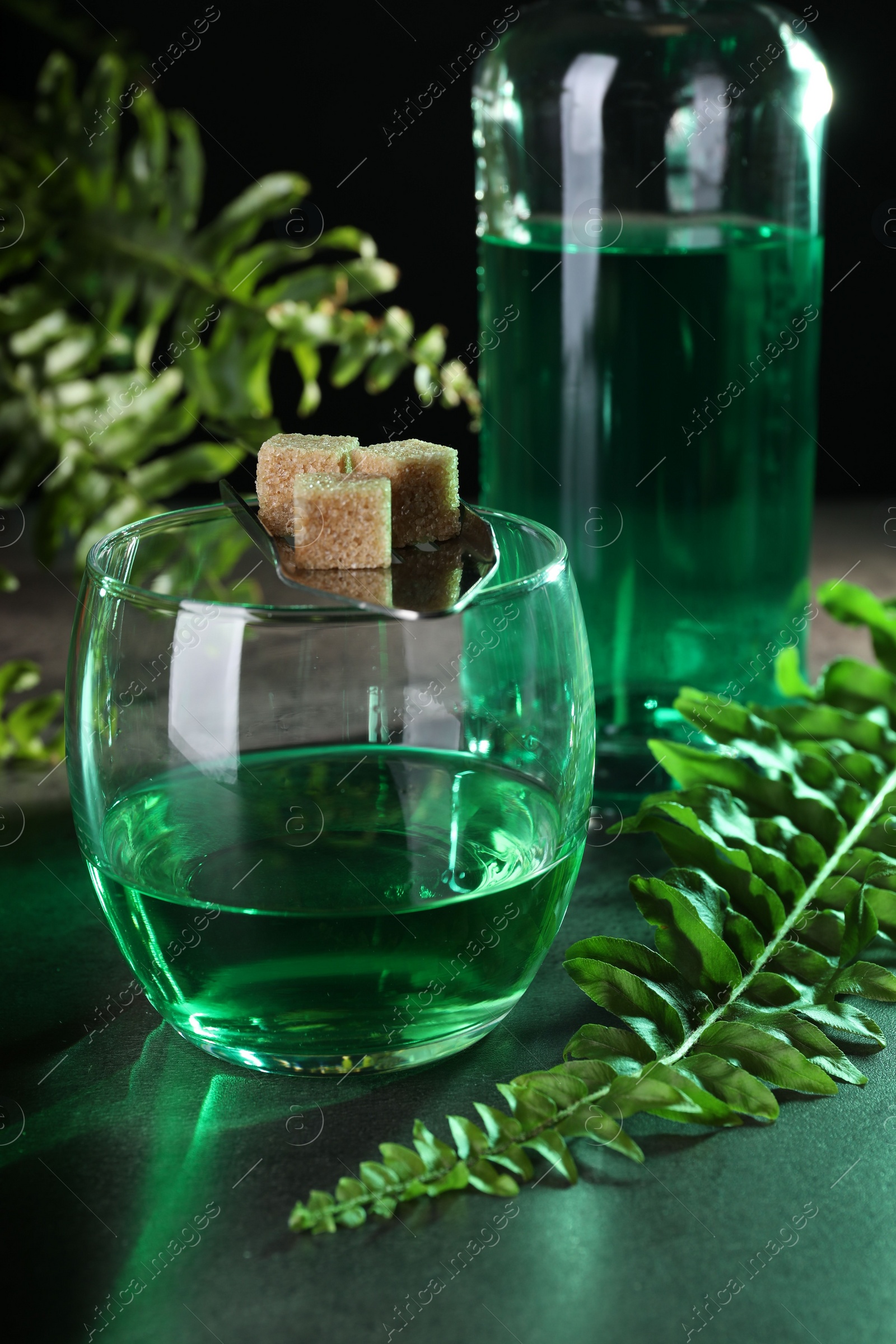 Photo of Absinthe in glass, spoon with brown sugar cubes and fern leaves on gray table. Alcoholic drink