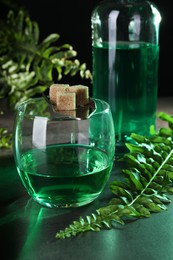 Photo of Absinthe in glass, spoon with brown sugar cubes and fern leaves on gray table. Alcoholic drink