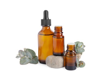 Photo of Bottles of eucalyptus essential oil, stone and plant branches on white background