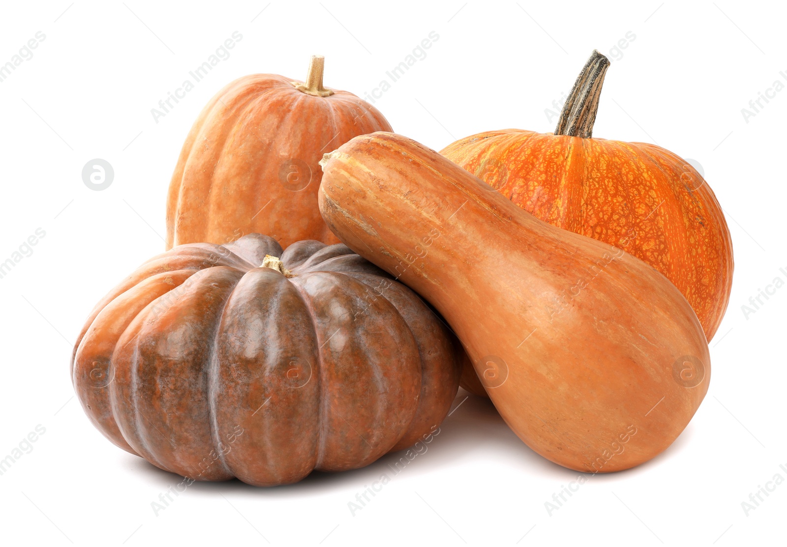 Photo of Fresh orange raw pumpkins isolated on white