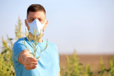 Photo of Man with ragweed branch suffering from allergy outdoors, focus on hand