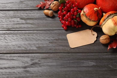 Photo of Flat lay composition with autumn vegetables and fruits on grey wooden background, space for text. Happy Thanksgiving day