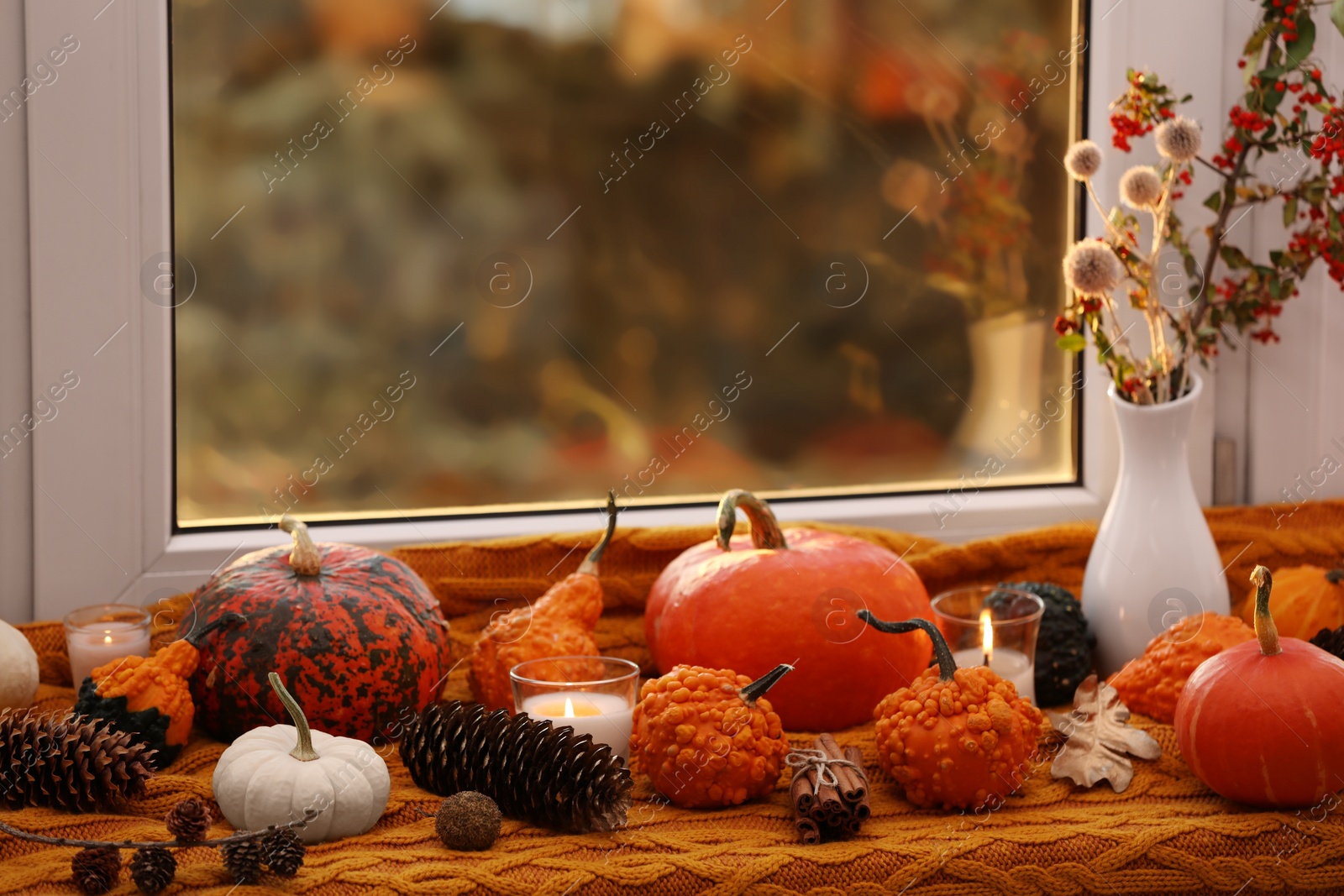 Photo of Composition with pumpkins and burning candles on window sill indoors