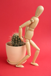 Photo of Wooden human figure and cactus on red background. Hemorrhoid problems
