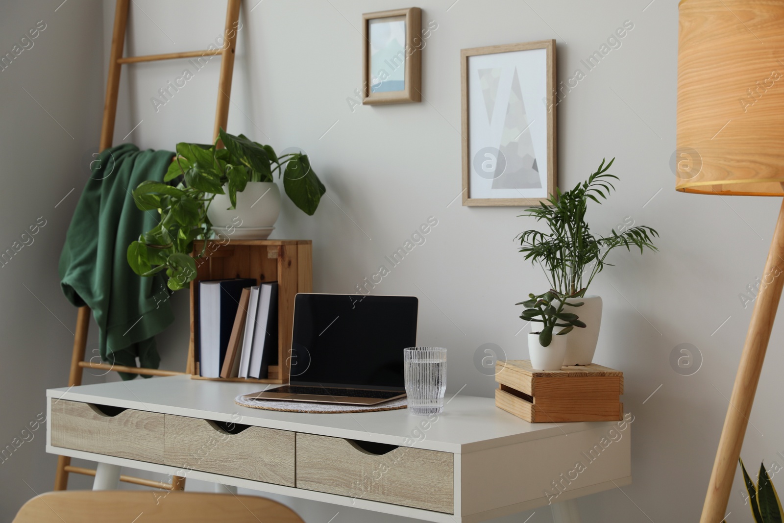 Photo of Home office interior with different beautiful houseplants