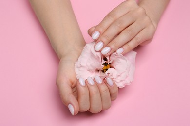 Woman with white nail polish holding eustoma flower on pink background, closeup