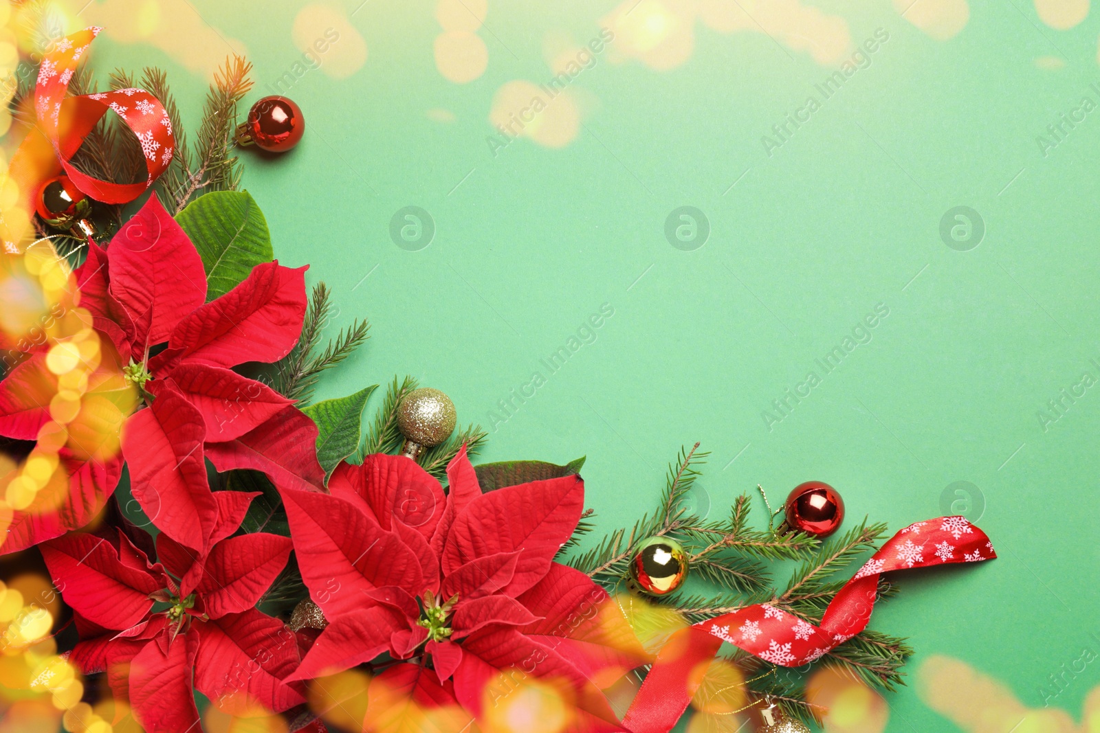 Image of Flat lay composition with traditional Christmas poinsettia flowers and space for text on green background, bokeh effect